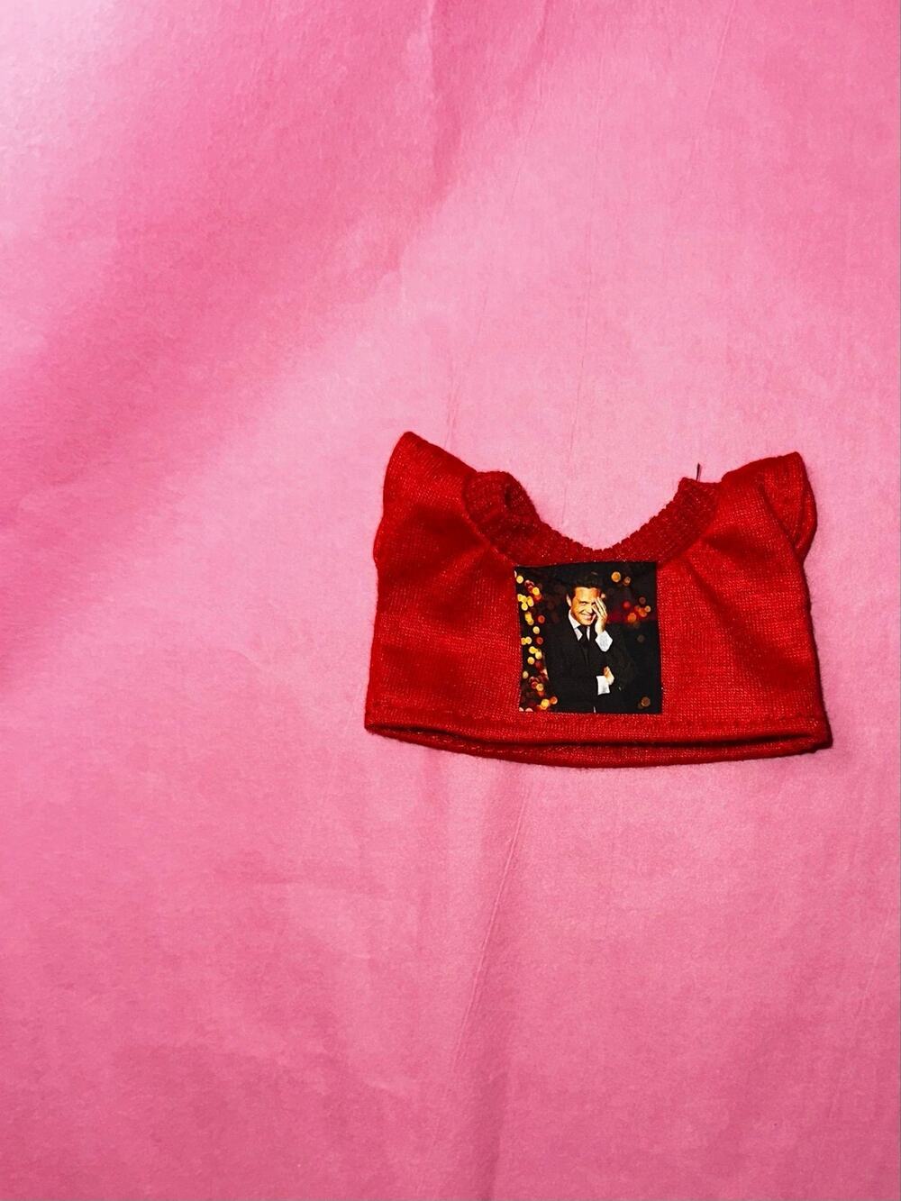 Band Shirt Luismi Labubu